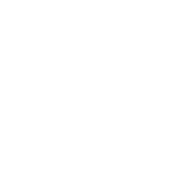 Reconnaissance
